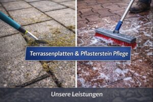 Terrassenplatten und Pflastersteine pflegen – Moos entfernen und Flächen reinigen in Wien und NÖ